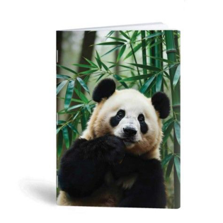 Beležka A6 40 listna PANDA 26Z-BEL-PANDA