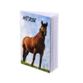 Beležka A6 40 listna konji HORSE