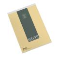 Blok stenogram A5 brezčrtni 70 listni 80 g PIGNASTYL PIGNA 0213747BI
