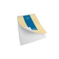 Blok stenogram A5 brezčrtni 70 listni 80 g PIGNASTYL PIGNA 0213747BI