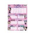 Etikete nalepke za ime z urnikom MINNIE MOUSE DISNEY set 6/1 318297
