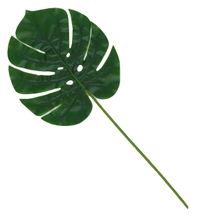 List okrasni monstera rastlina 36 cm 587696