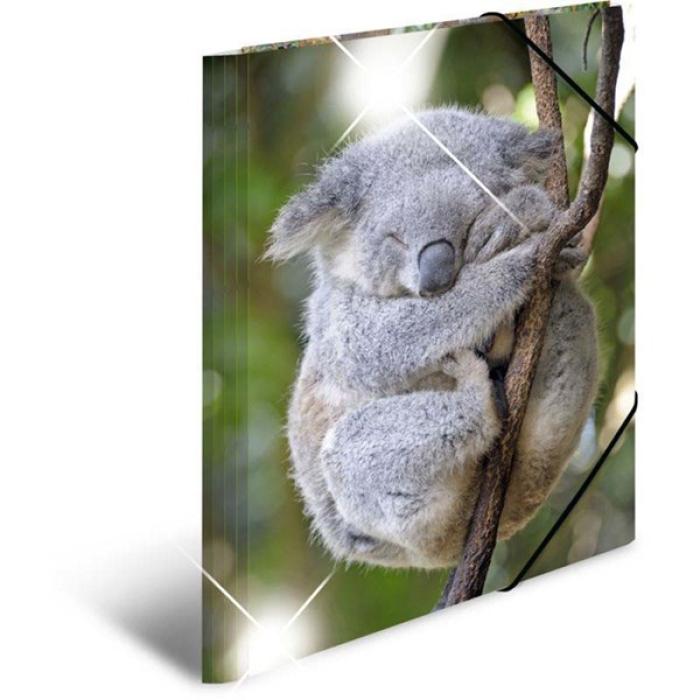 Mapa z elastiko A3 PP glossy HERMA KOALA HER19333