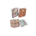Mapa rinčna A4 4 rinke 3 cm PIGNA NATURE PETIT FLOWER S005479630