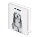 Mapa rinčna A4 2 rinki ANIMAL FRIENDS BLACK AND WHITE 64AF04BW