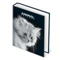 Mapa rinčna A4 2 rinki ANIMAL FRIENDS BLACK AND WHITE 64AF04BW