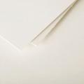 Papir A4 50 listov 120 g POLLEN CLAIREFONTAINE