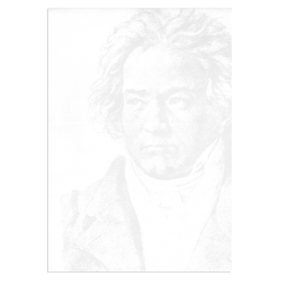 Papir vo&scaron;čilnica spričevalo A4 motiv glasba Beethoven ARTOZ DESIGN 536796-26