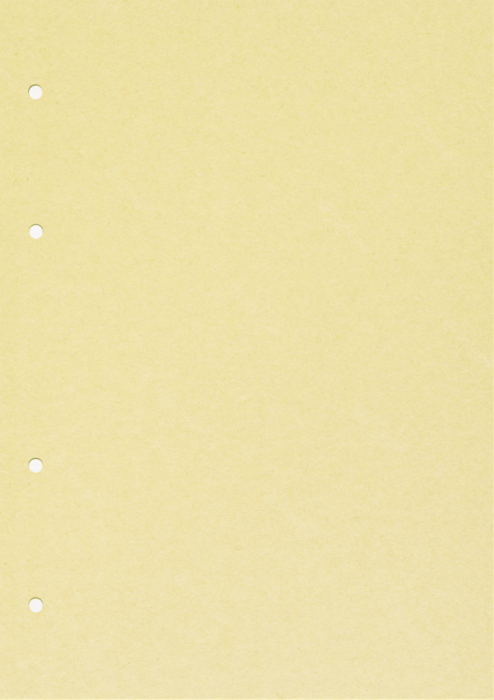 Pregradni kartoni ločilni listi A4 22,5x29,7 cm set 10/1