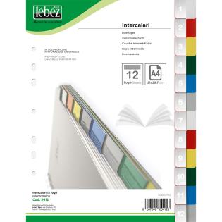 Pregradni karton 12 delni barvni LEBEZ 5412