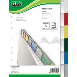Pregradni karton PVC 6 delni barvni LEBEZ 5406