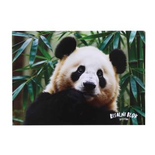 Risalni blok A3 20 listni SKULVAJB YOU ARE MY PANDA 26Z-BLOK-PANDA