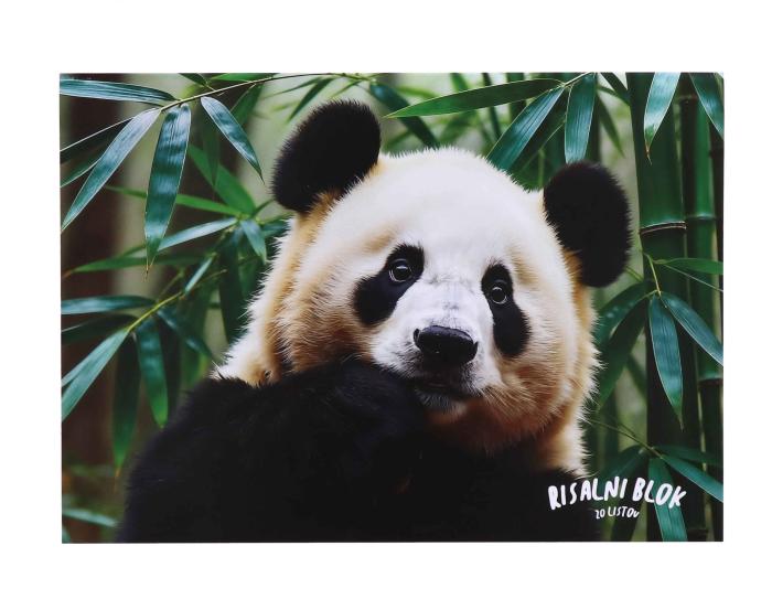 Risalni blok A3 20 listni SKULVAJB YOU ARE MY PANDA 26Z-BLOK-PANDA