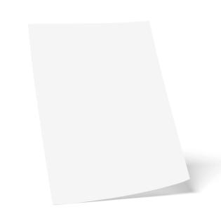 Risalni list A3 1 list