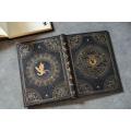 Rokovnik trde platnice črtni 18x23 cm PAPERBLANKS SHADOWS OF NAVARRE FOURTH WING ZMAJ PB9986-4