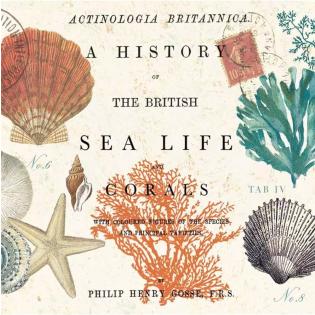 Serviete 33x33 cm PPD VINTAGE SEA LIFE 1331576