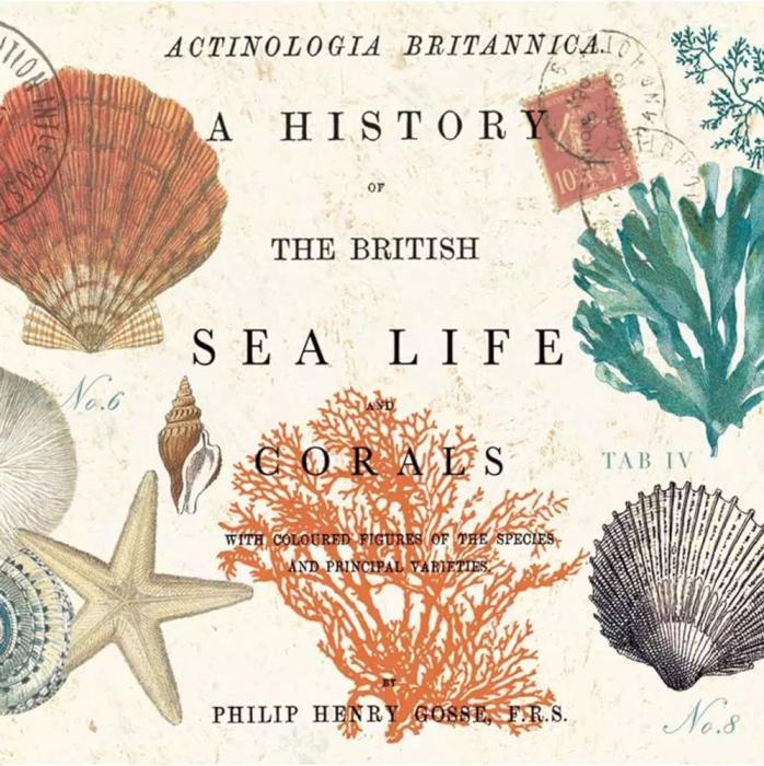 Serviete 33x33 cm PPD VINTAGE SEA LIFE 1331576