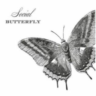 Serviete 33x33 cm PPD METULJ SOCIAL BUTTERFLY FSC 1331928