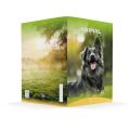 Zvezek A4 veliki karo 1 cm 56 listni 100 g ANIMAL FRIENDS 64MSG