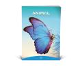 Zvezek A4 veliki karo 1 cm 56 listni 100 g ANIMAL FRIENDS 64MSG