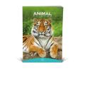 Zvezek A4 veliki karo 1 cm 56 listni 100 g ANIMAL FRIENDS 64MSG