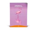 Zvezek A4 veliki karo 1 cm 56 listni 100 g ANIMAL FRIENDS 64MSG