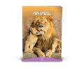 Zvezek A4 veliki karo 1 cm 56 listni 100 g ANIMAL FRIENDS 64MSG