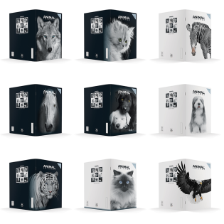 Zvezek A4 veliki karo 1 cm 56 listni 80 g ANIMAL FRIENDS BLACK AND WHITE 64AFMBW