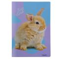 Zvezek A4 veliki karo 1x1 cm 38 listni 80 g BEST FRIENDS ŽIVALI MLADIČKI 9220