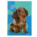 Zvezek A4 veliki karo 1x1 cm 38 listni 80 g BEST FRIENDS ŽIVALI MLADIČKI 9220