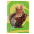 Zvezek A4 veliki karo 1x1 cm 38 listni 80 g BEST FRIENDS ŽIVALI MLADIČKI 9220