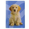 Zvezek A4 veliki karo 1x1 cm 38 listni 80 g BEST FRIENDS ŽIVALI MLADIČKI 9220