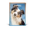 Zvezek A4 črtni 42 listni 85 g ANIMAL FRIENDS 64AFMC