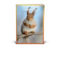 Zvezek A4 črtni 42 listni 85 g ANIMAL FRIENDS 64AFMC