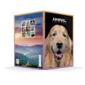 Zvezek A4 črtni 42 listni 85 g ANIMAL FRIENDS 64AFMC