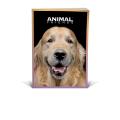 Zvezek A4 črtni 42 listni 85 g ANIMAL FRIENDS 64AFMC