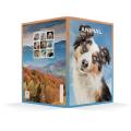 Zvezek A4 črtni 42 listni 85 g ANIMAL FRIENDS 64AFMC