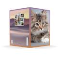 Zvezek A4 črtni 42 listni 85 g ANIMAL FRIENDS 64AFMC