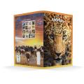 Zvezek A5 črtni 42 listni 85 g ANIMAL FRIENDS 64QPQ