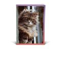 Zvezek A5 črtni 42 listni 85 g ANIMAL FRIENDS 64QPQ