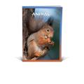 Zvezek A5 črtni 42 listni 85 g ANIMAL FRIENDS 64QPQ