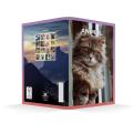 Zvezek A5 črtni 42 listni 85 g ANIMAL FRIENDS 64QPQ