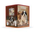 Zvezek A5 črtni 42 listni 85 g ANIMAL FRIENDS 64QPQ