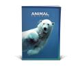 Zvezek A5 črtni 42 listni 85 g ANIMAL FRIENDS 64QPQ