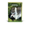 Zvezek A5 črtni 42 listni 85 g ANIMAL FRIENDS 64QPQ